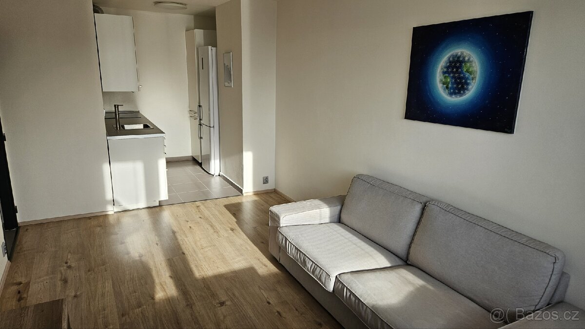 Pronajem 2kk, 40m2, Praha Haje