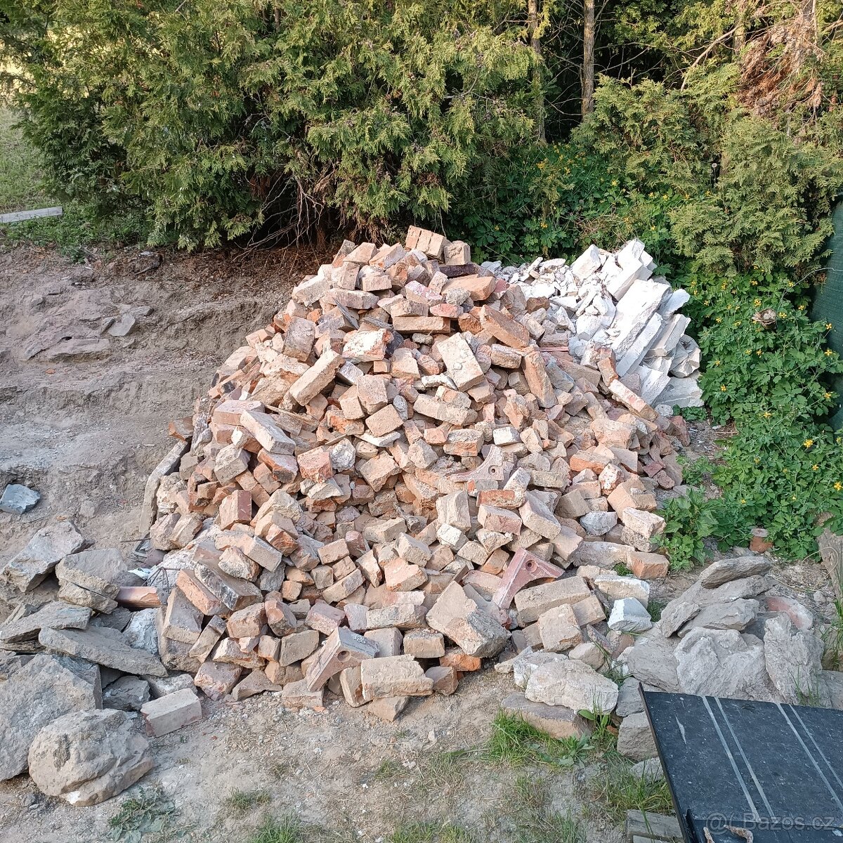 Suť
