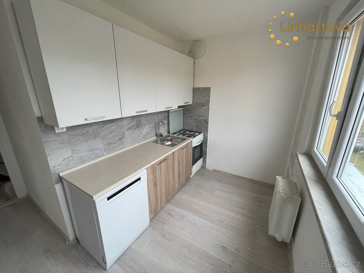 Pronájem bytu 1+1 38 m² Vysoká, Aš
