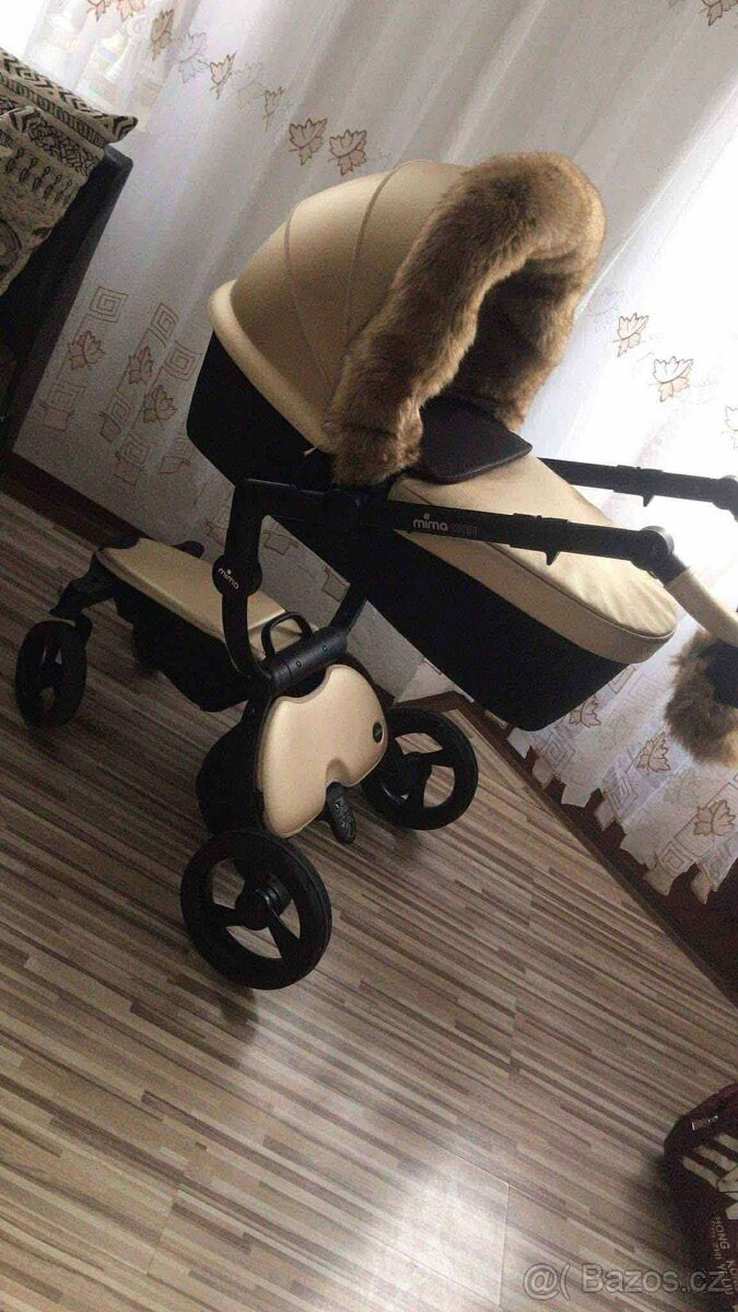 Mima xari Kočárek