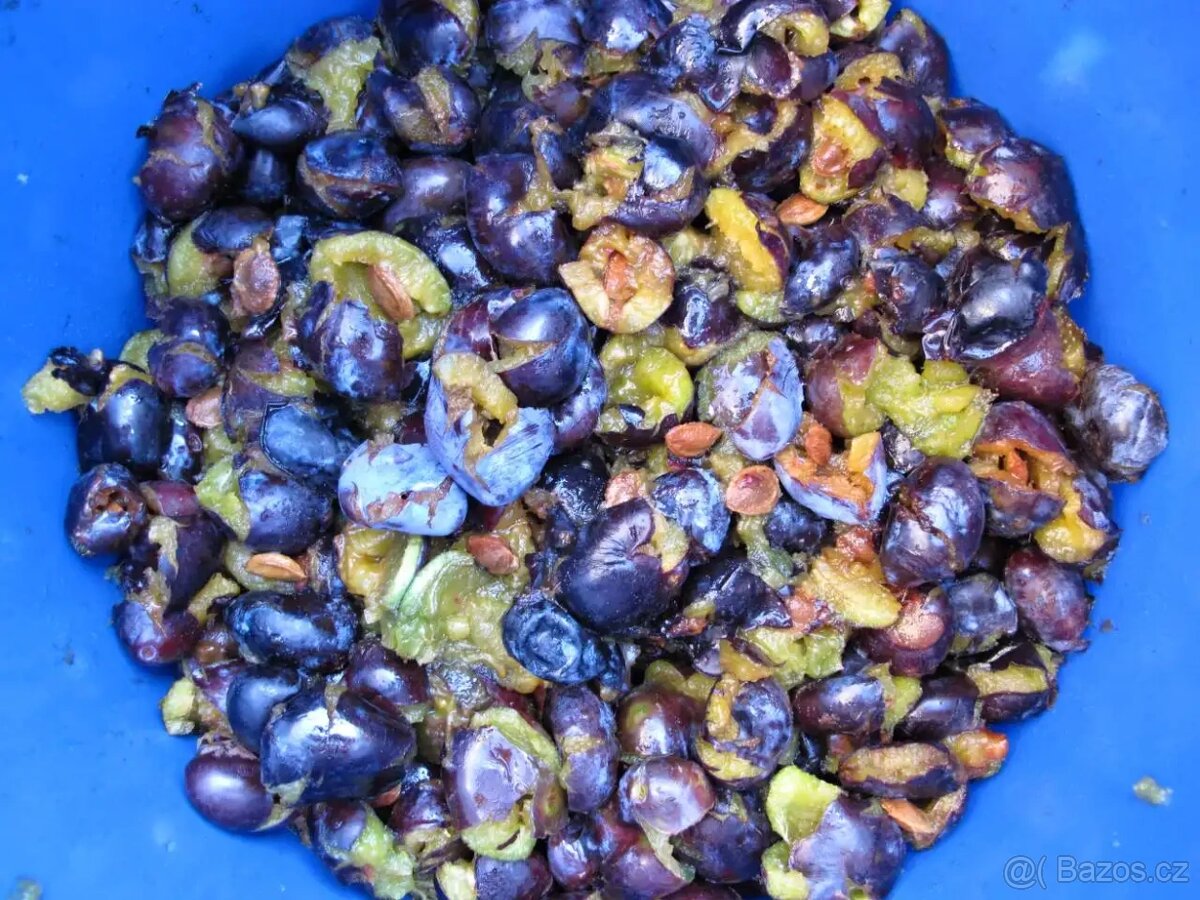 Švestky na kvas - 14 Kč/kg