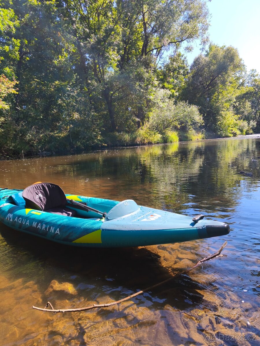 Aqua Marina Steam 312