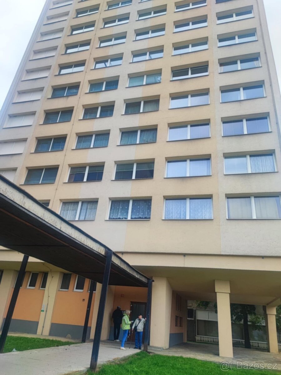 Prodam byt 1+1 družst.vlastnictvi 42 m2 Bratislavska u