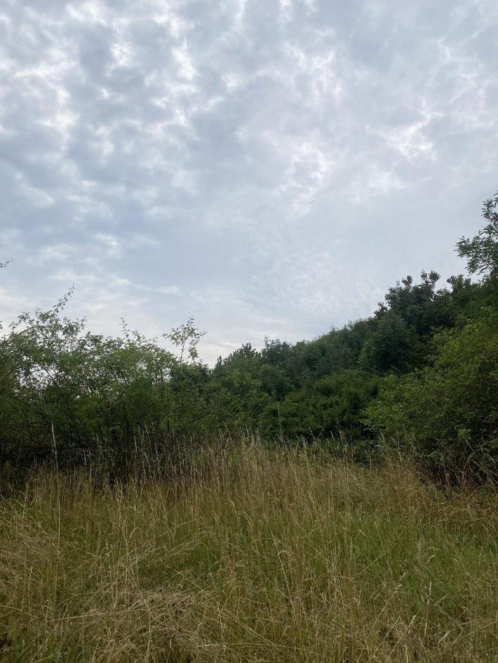 Prodej podílu na pozemcích Praha- Michle