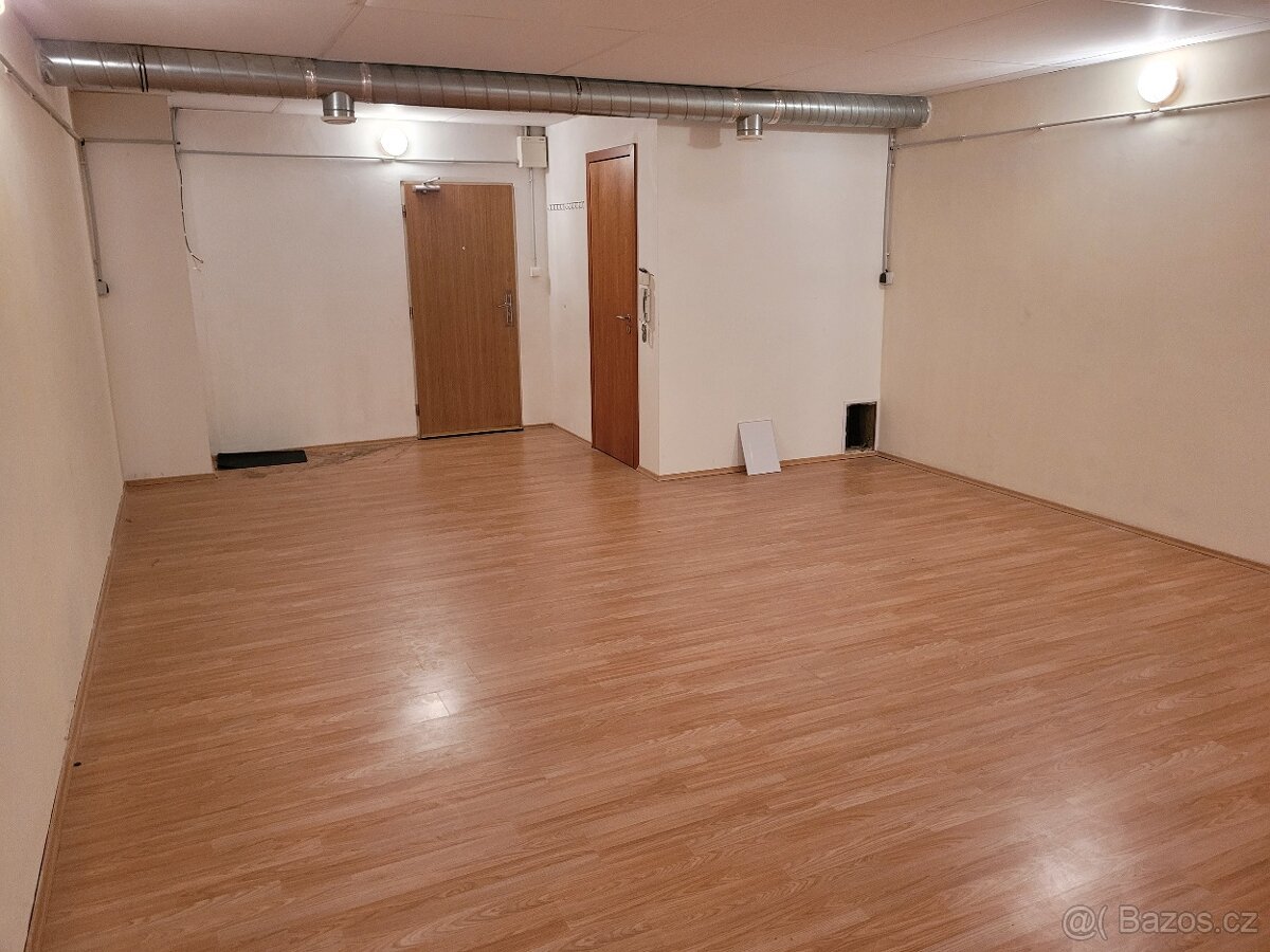 Pronájem nebytového prostoru o velikosti 41m2.