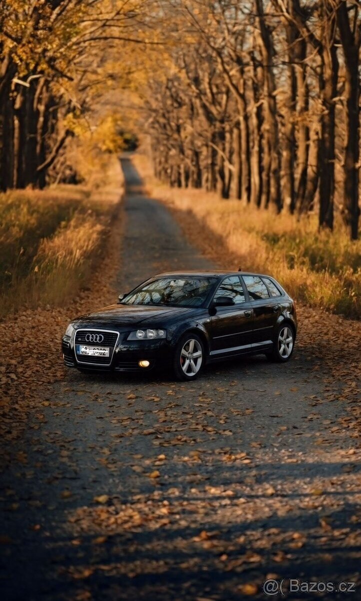 Audi A3 8P 1.9 TDI 77 kw