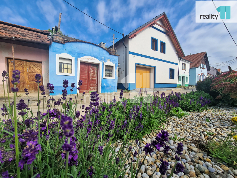 Prodej, vinný sklep s apartmánem, 183 m2, Bořetice