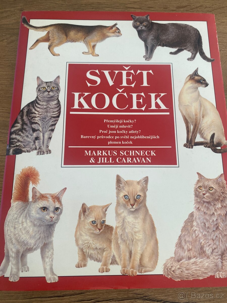 Svět koček kniha