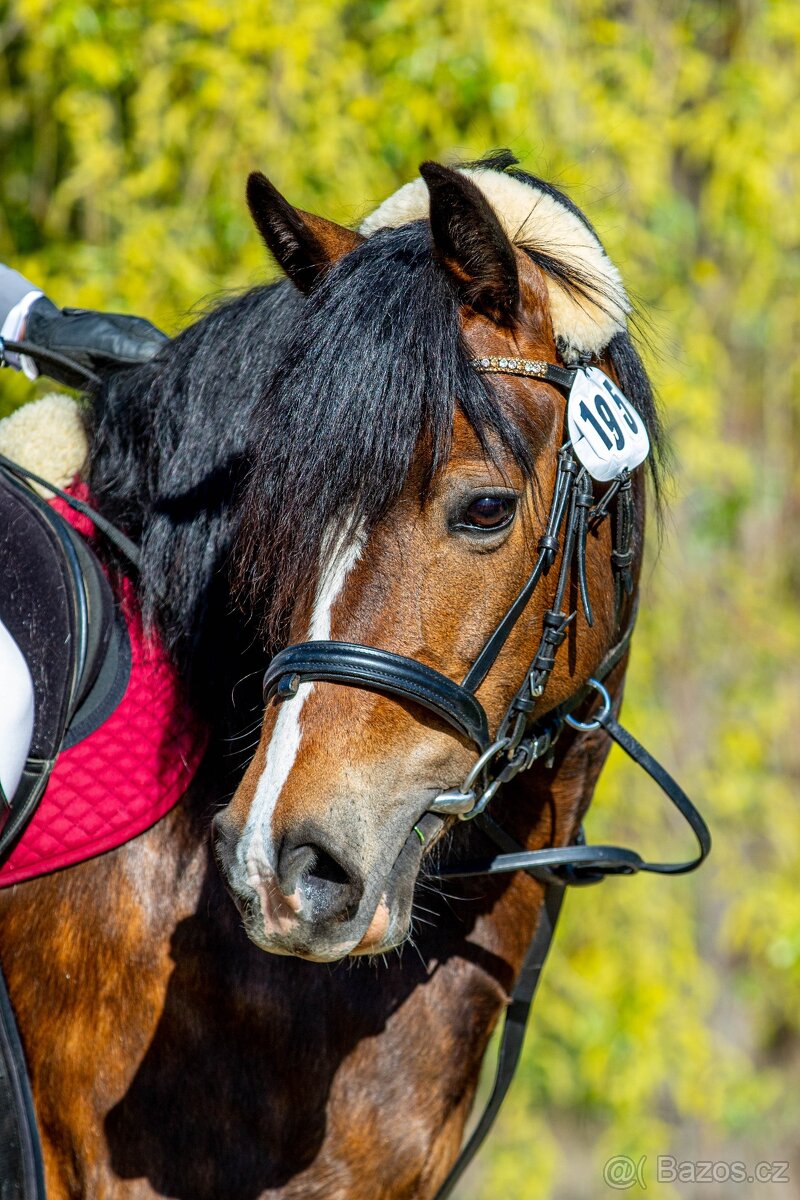 Luxusní ponička do sportu