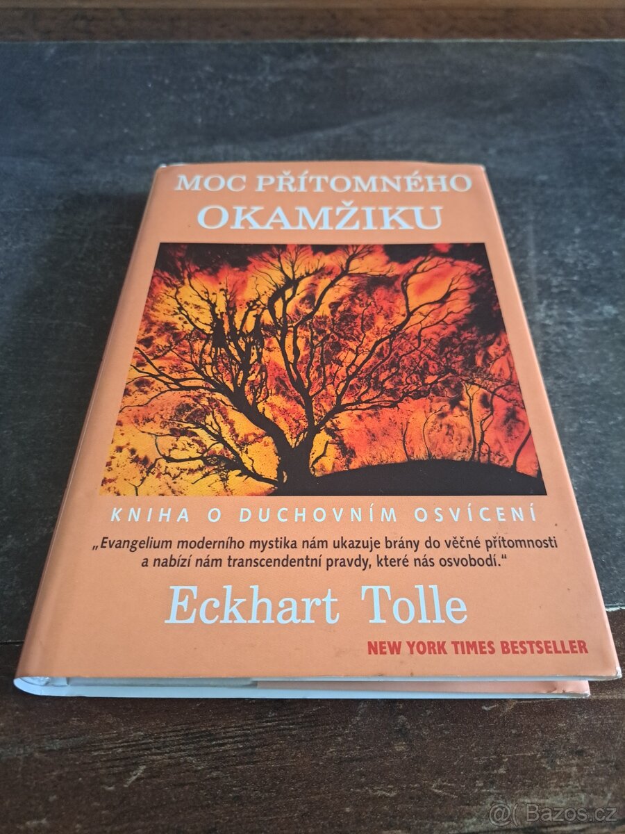 Moc přítomného okamžiku, Tolle