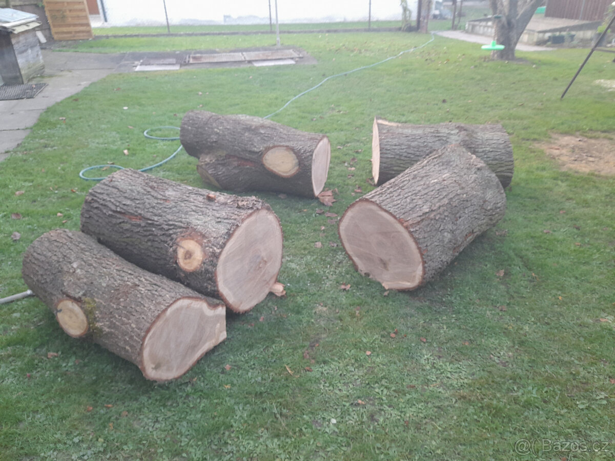 Prodám dubové špalky