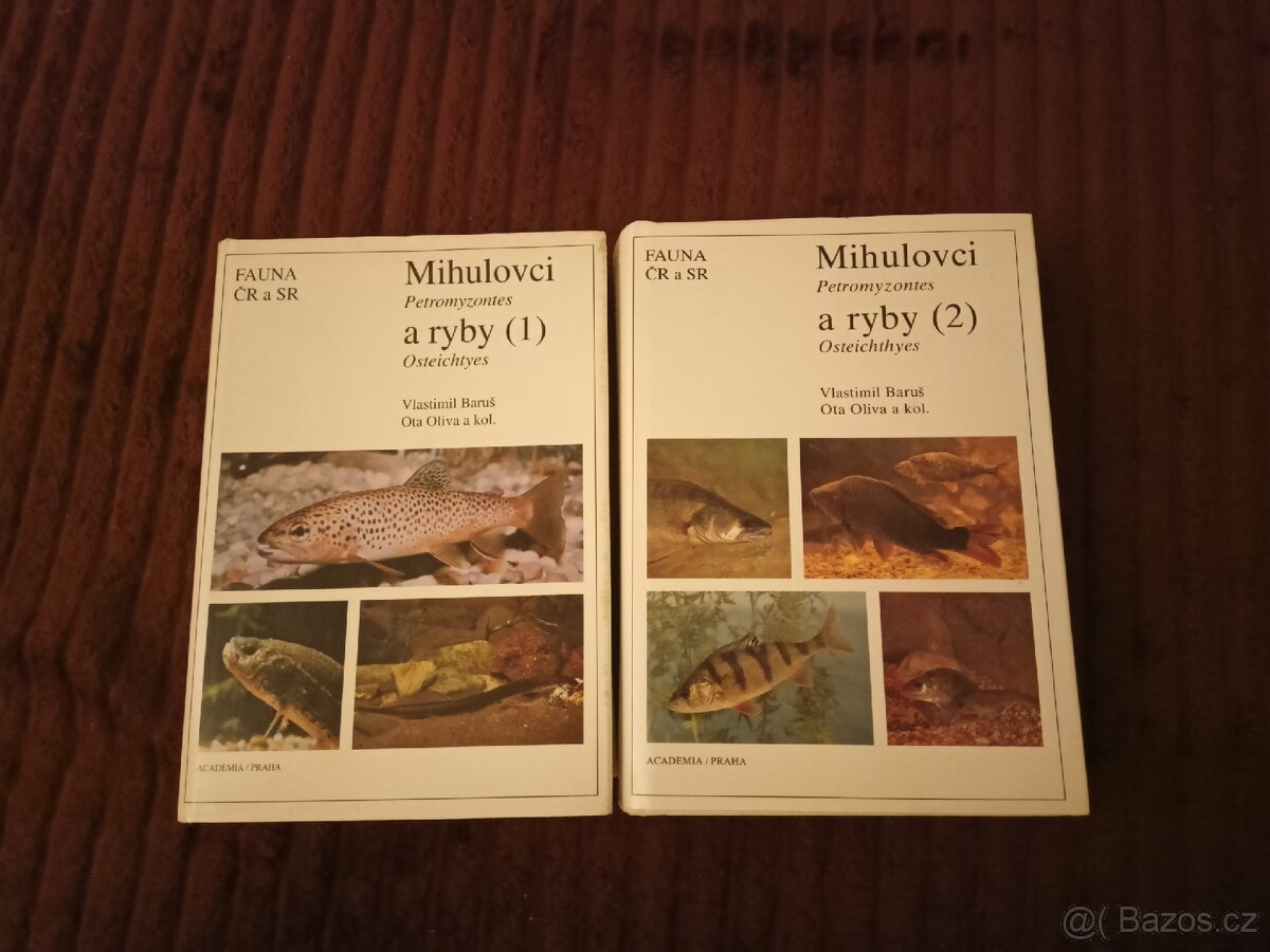 Mihulovci (Petromyzontes) a ryby (Osteichthyes)