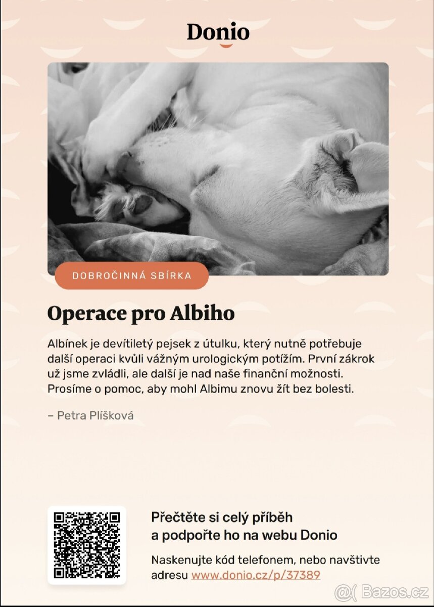 Prosíme všechny anděli