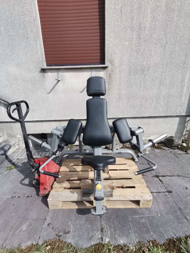 Technogym - HAMMER STRENGTH biceps a triceps