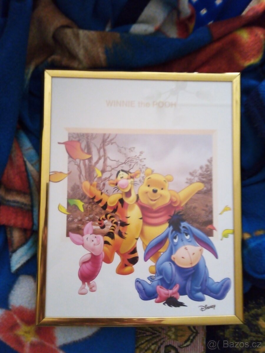 Obrázky Medvídek Pů a Mickey,Minnie,Donald,Deisy