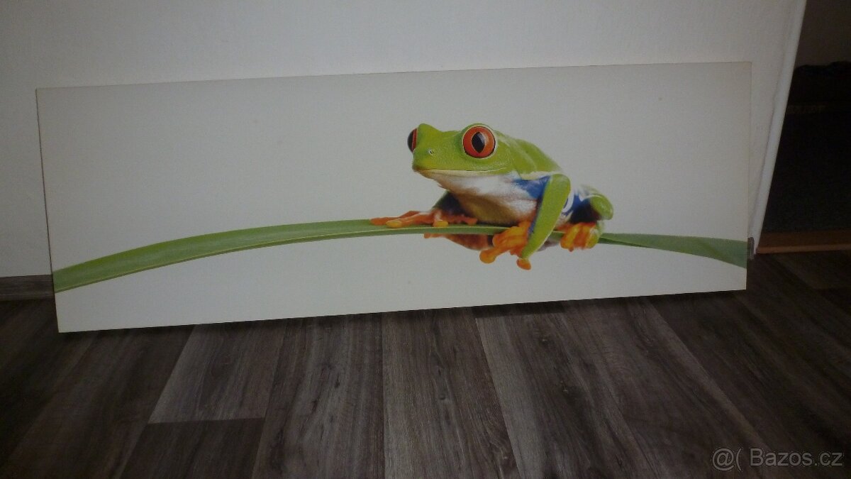 Obraz