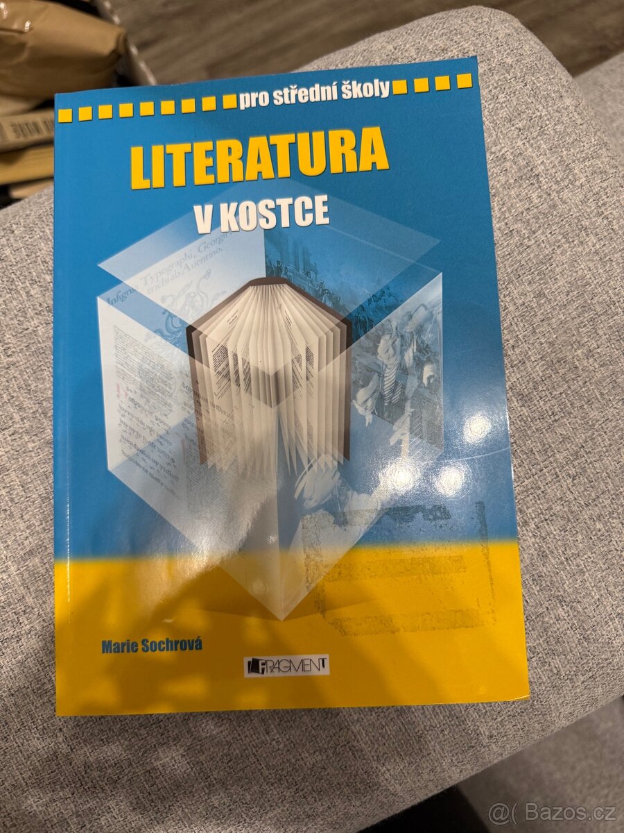 Literatura v kostce, Fragment