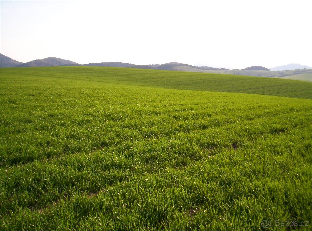 Prodej pozemku – orná půda, 24 469 m², Kamberk, okres Benešo