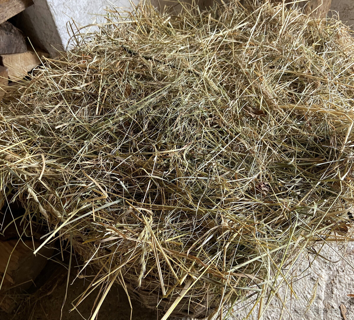 Seno pro králíky, morčata...