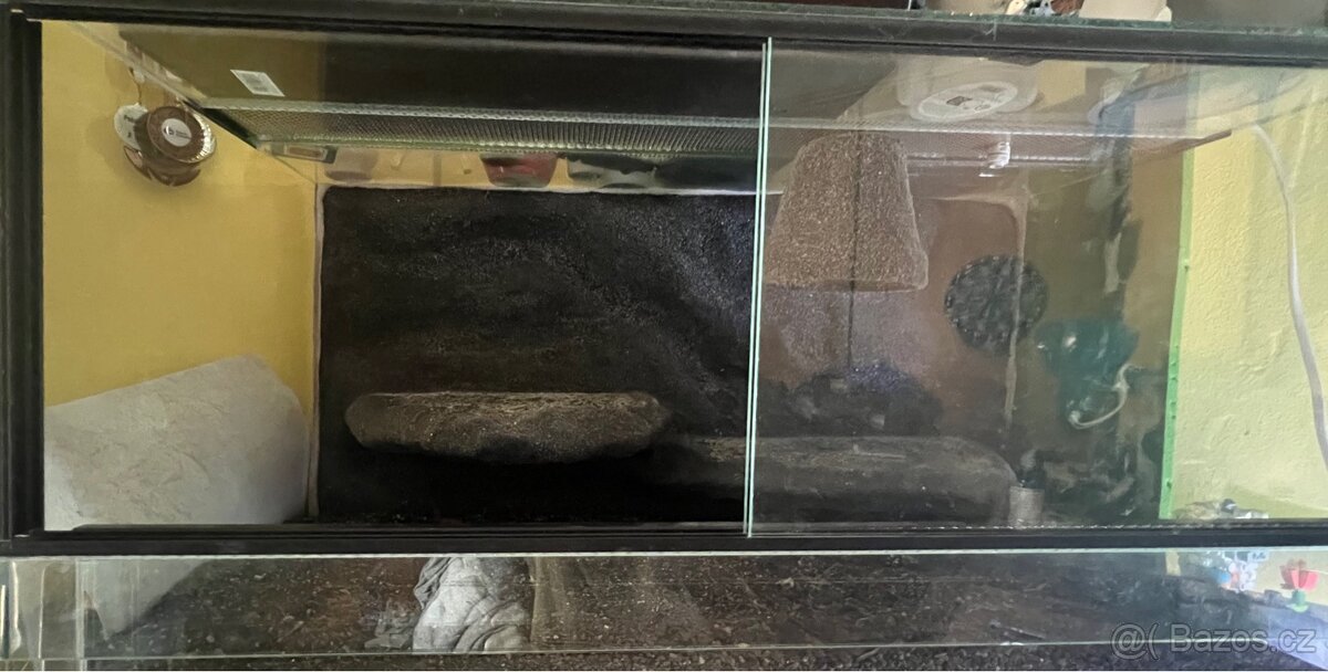 terarium 80x40x40