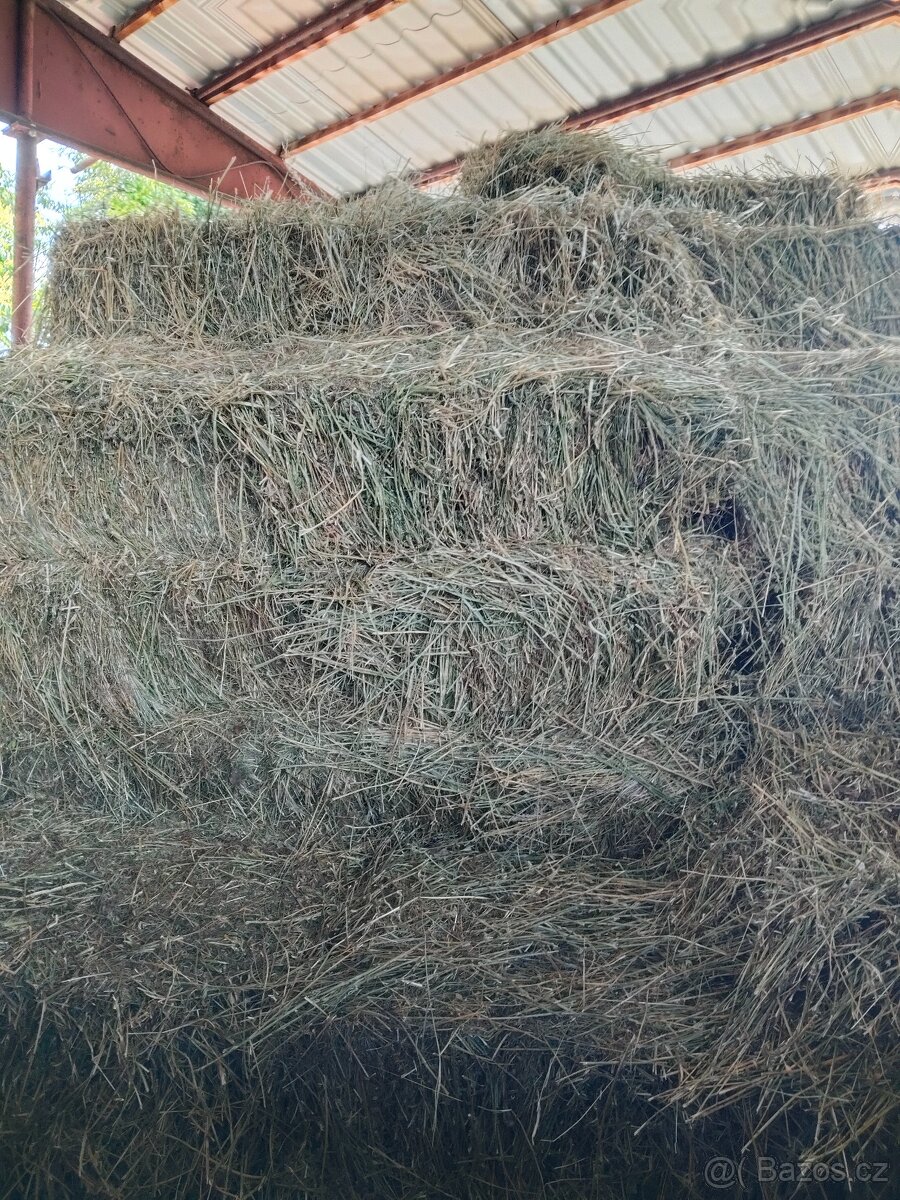 Vojtěškové seno