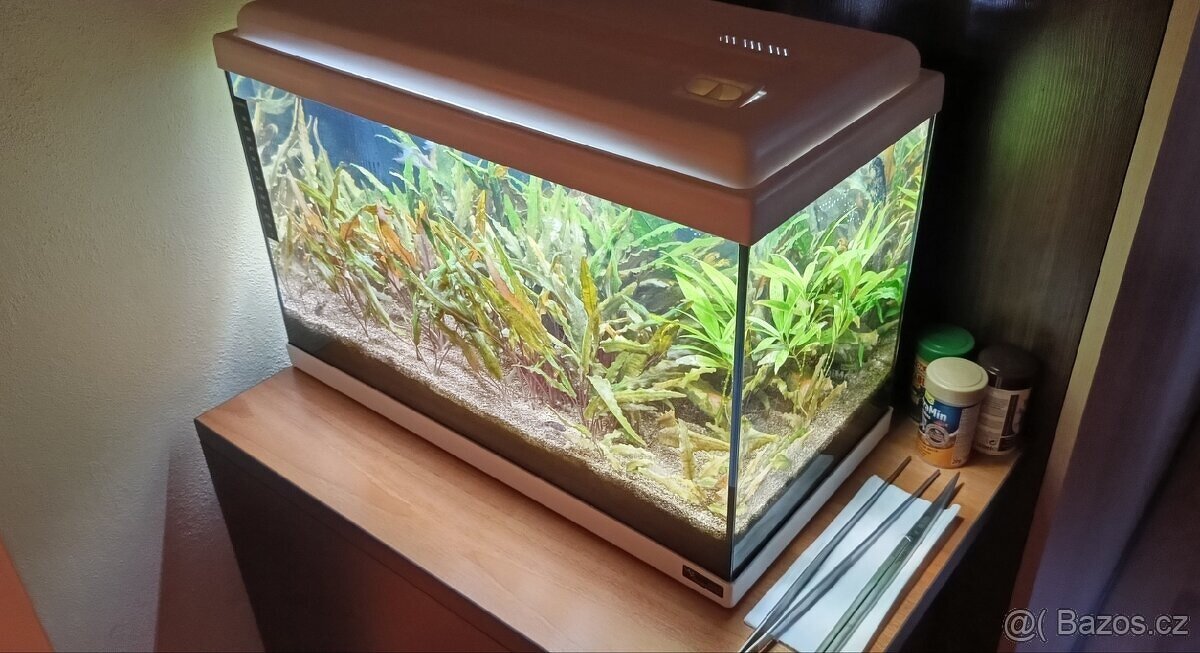 Akvárium 40 litrů