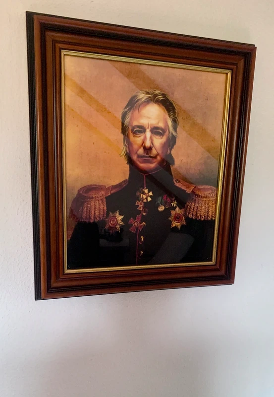 Historický obraz s Alanem Rickmanem/Severusem Snapem