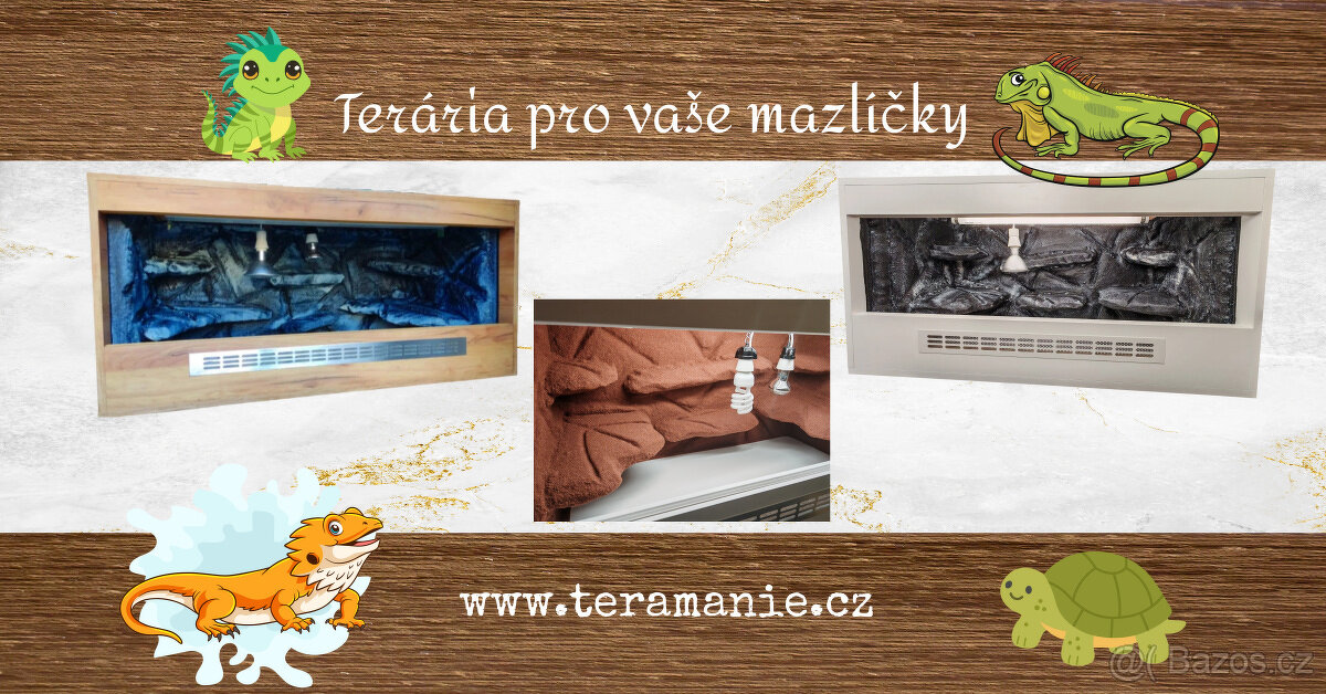 Terárium , Osram Biolux , agama vousata