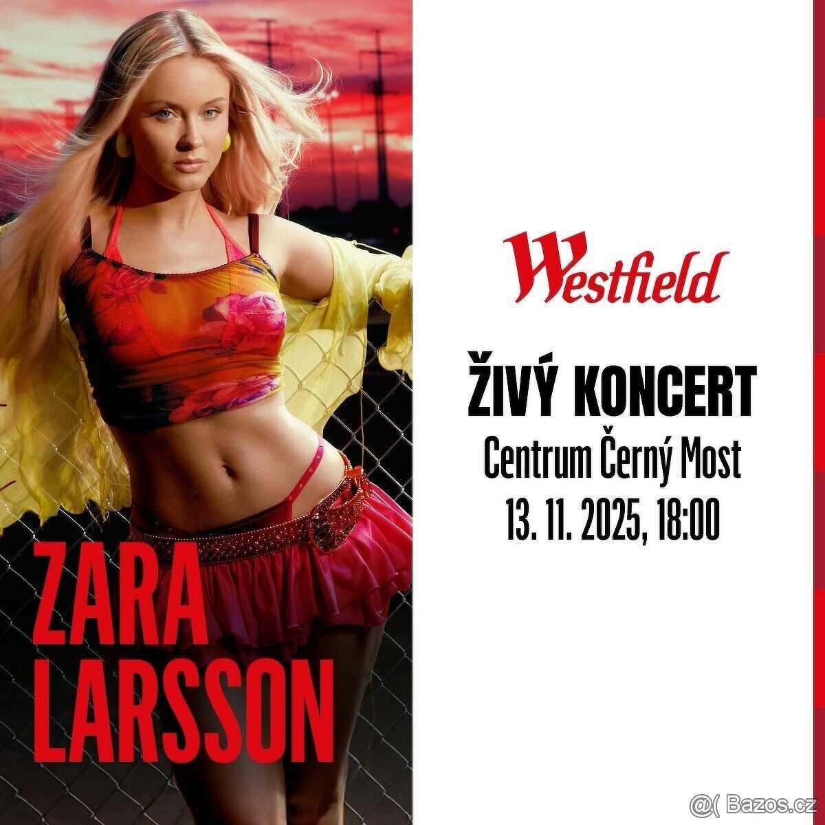 Zara Larsson 13.11. Černý Most