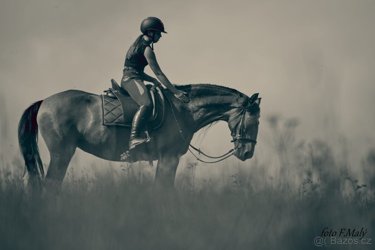 Extra Lusitano kobyla