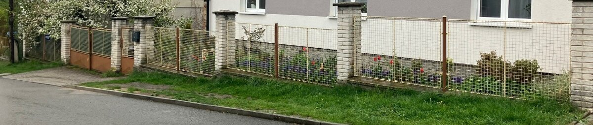 Vrata a branka
