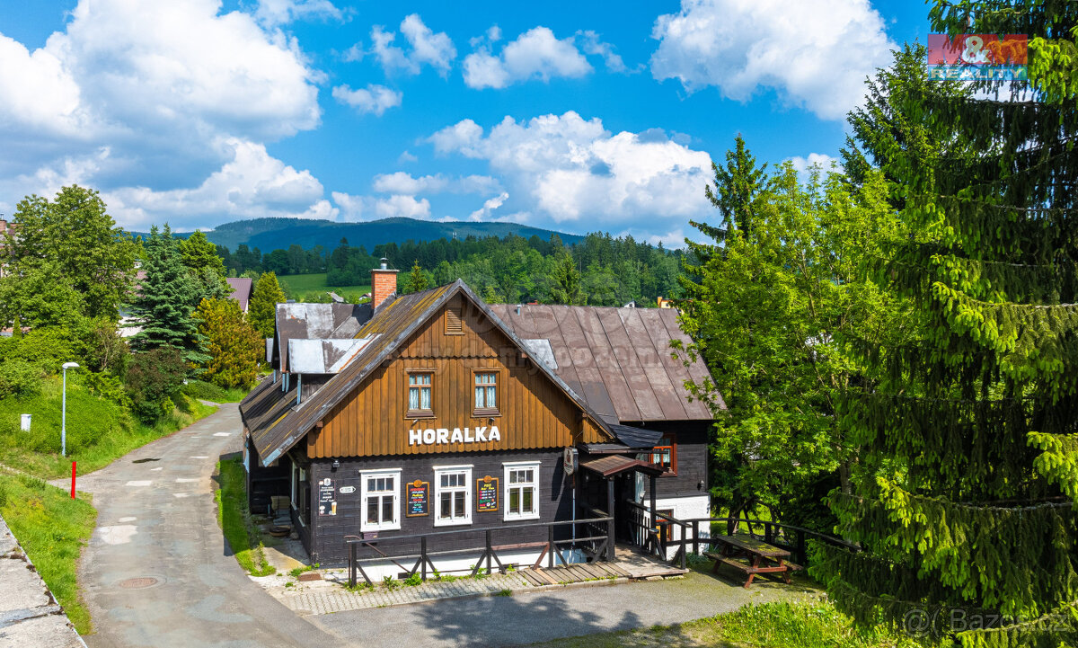Prodej hotelu, penzionu v Rokytnici nad Jizerou, ul. Horní R