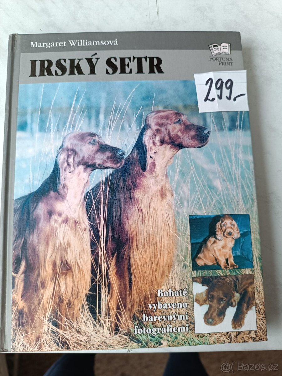 Kokršpaněl Briard Dalmatin irský setr český terier
