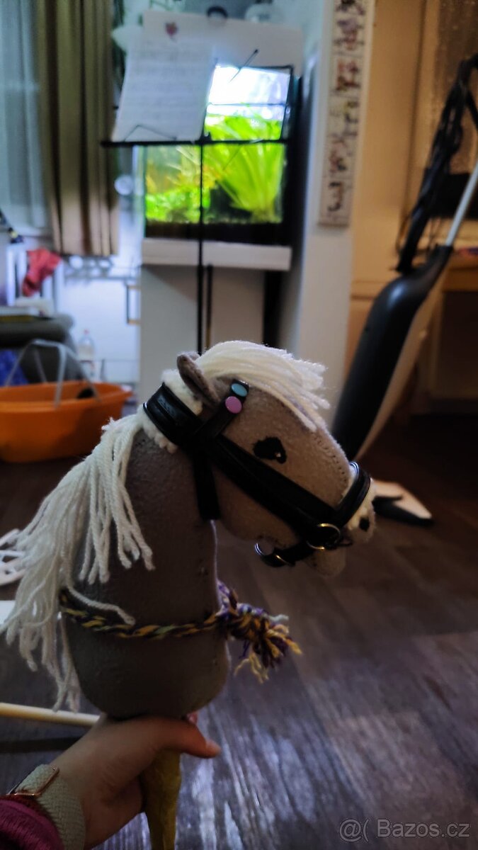 hobby horse