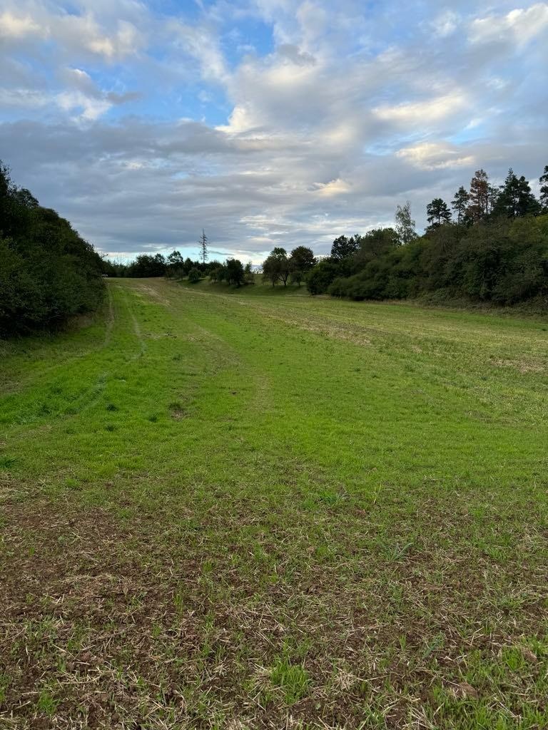 Prodej souboru pozemků cca 32 238 m2 kú Sebranice u Boskovic