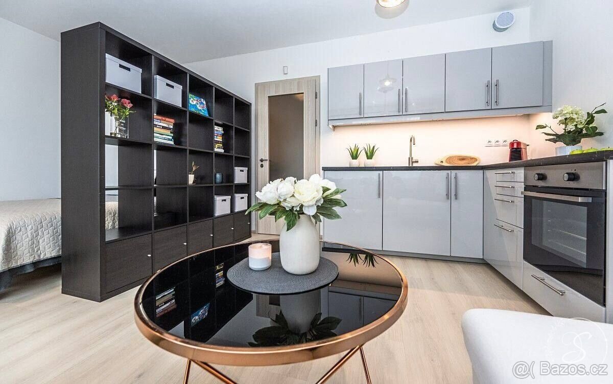 Pronájem bytu 1+kk • 76 m²