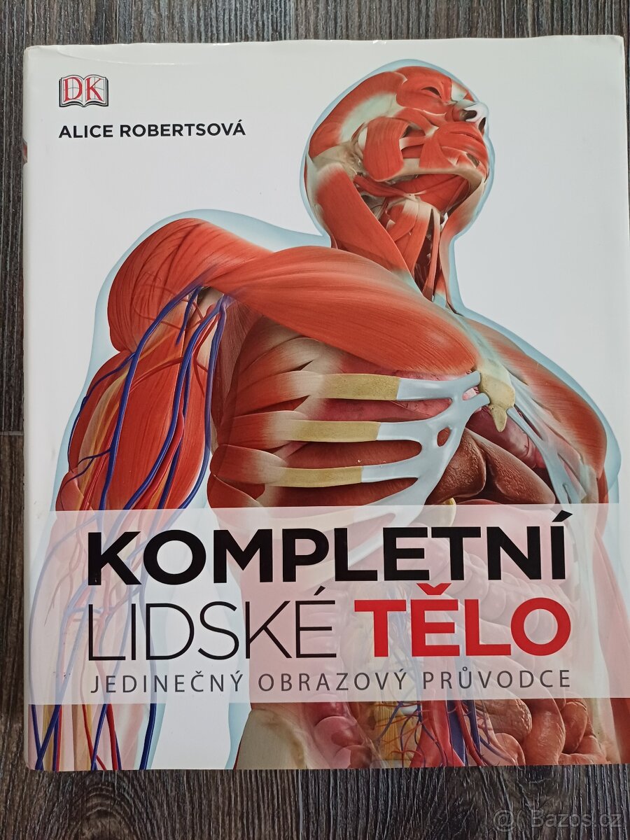 Kompletní lidské tělo