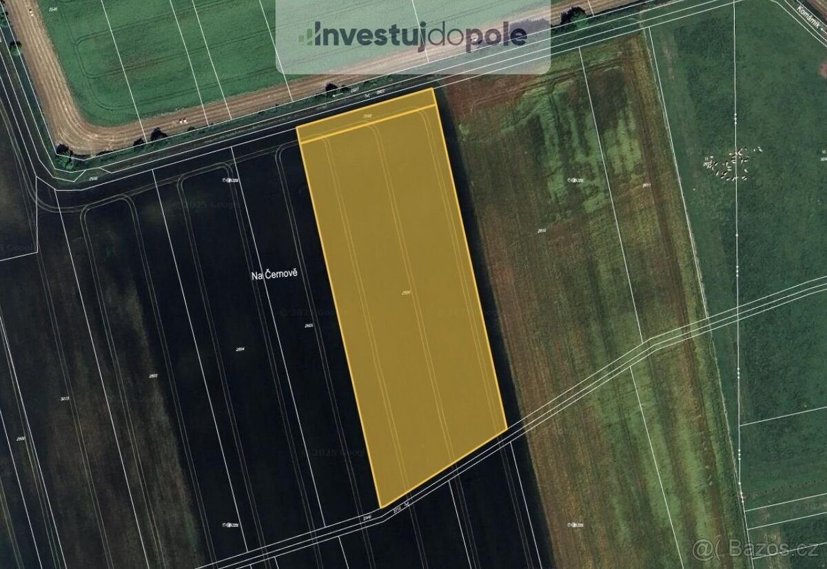 Prodej podílu 1/4 pole 4 315 m², Kunovice