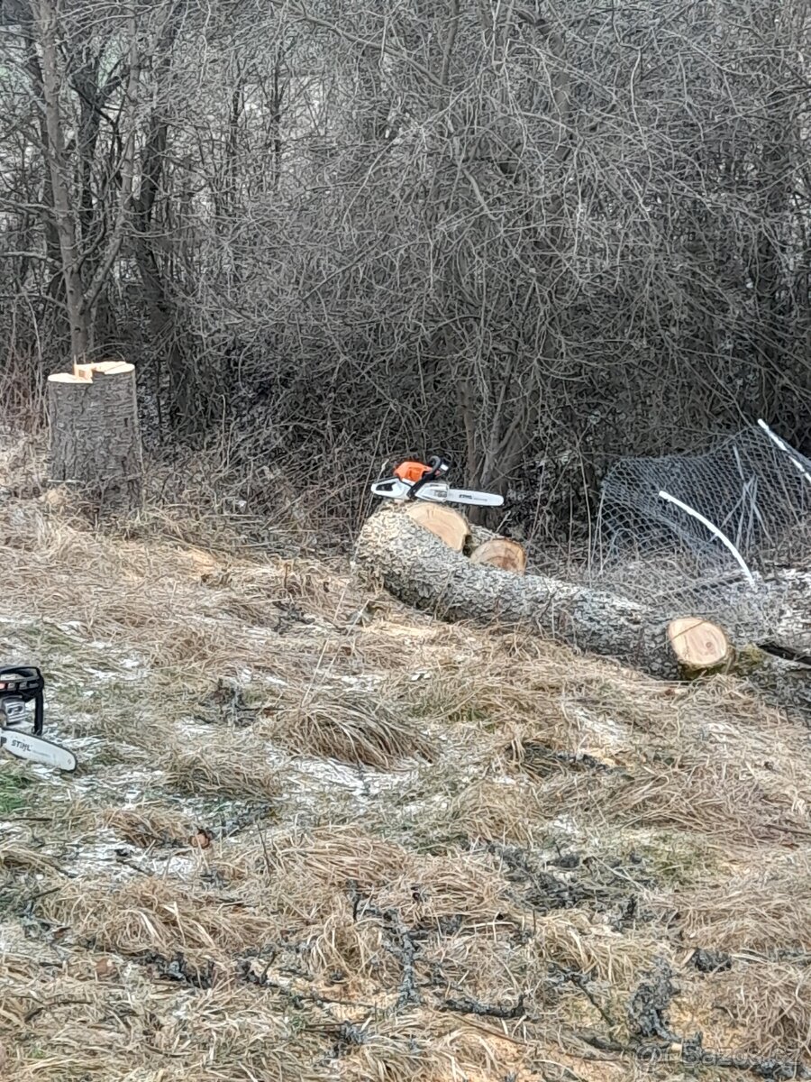 Práce s motorovou pilou