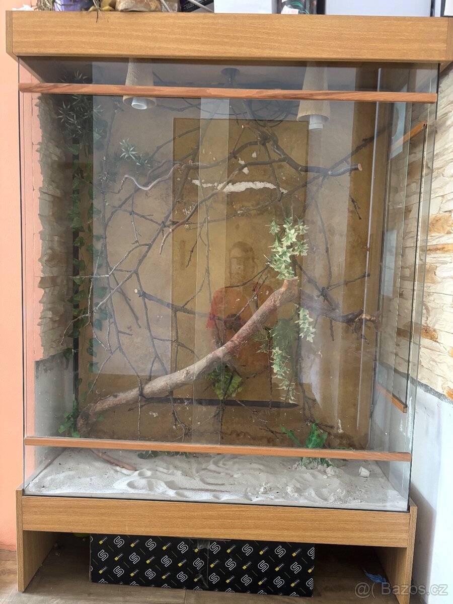Terarium