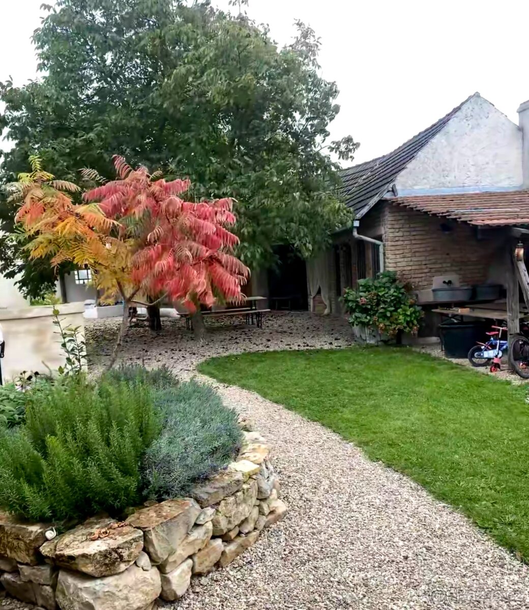 Rodinný dům k pronájmu