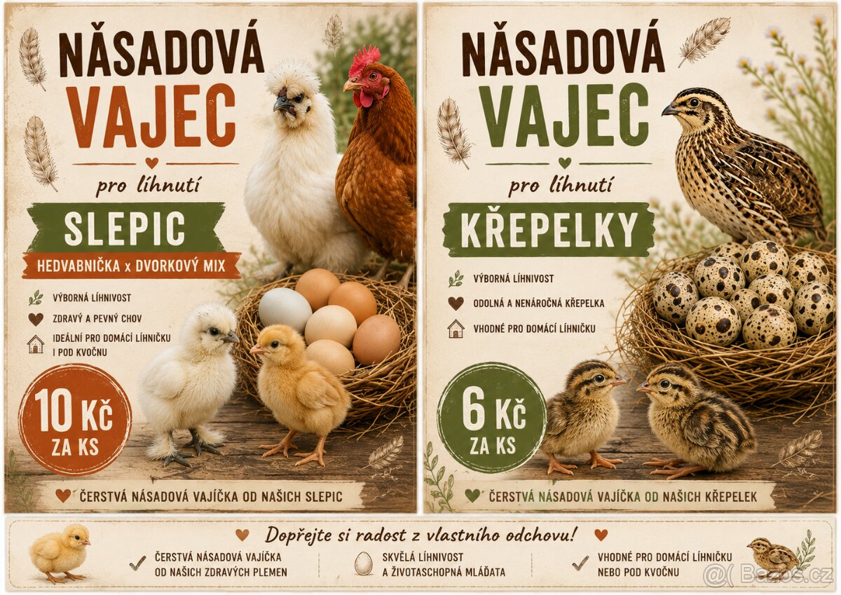 🐣 NÁSADOVÁ VAJÍČKA PRO LÍHNUTÍ 🐣