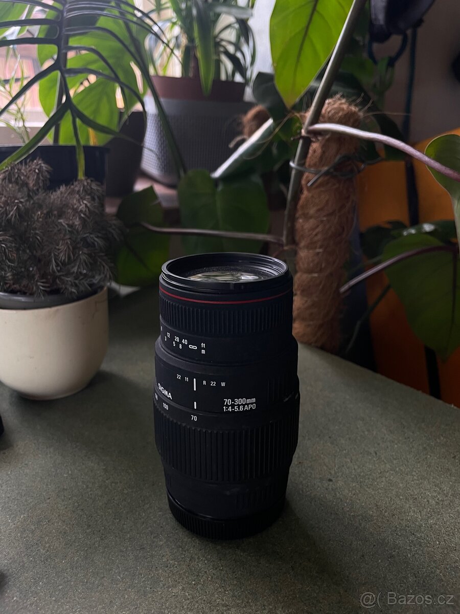 Sigma 70-300 apo. f4 canon