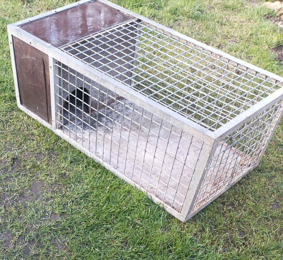 Klec 100x50x35