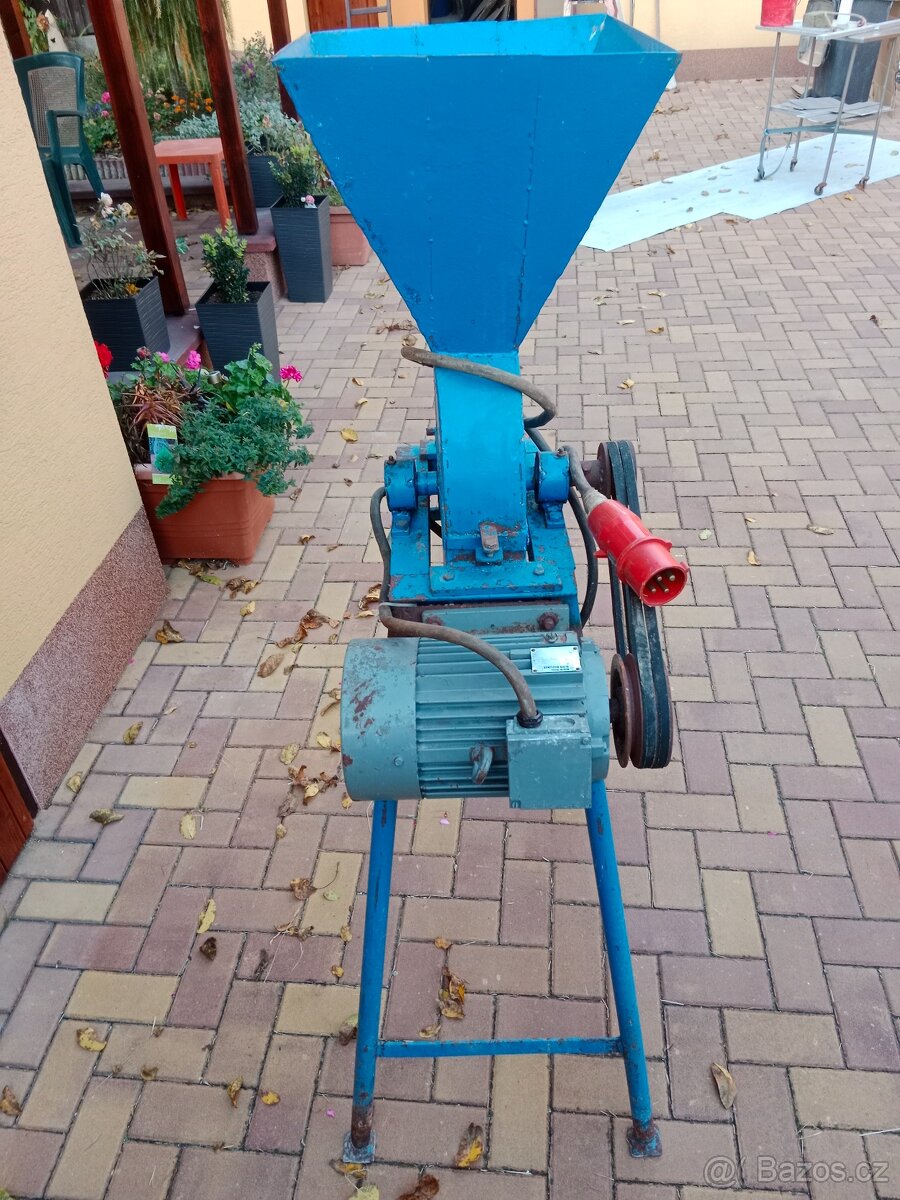 Šrotovník kladívkový