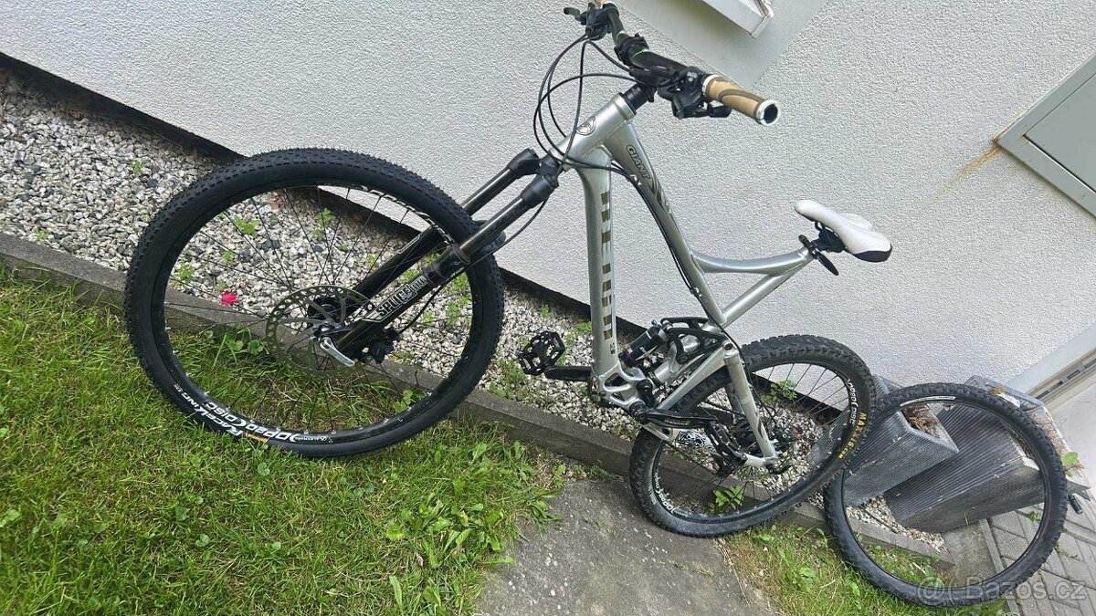 Celopéro giant reign 26