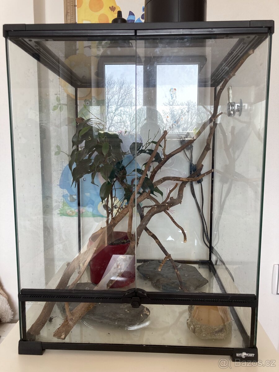 terárium reptiplanet 45x45x60