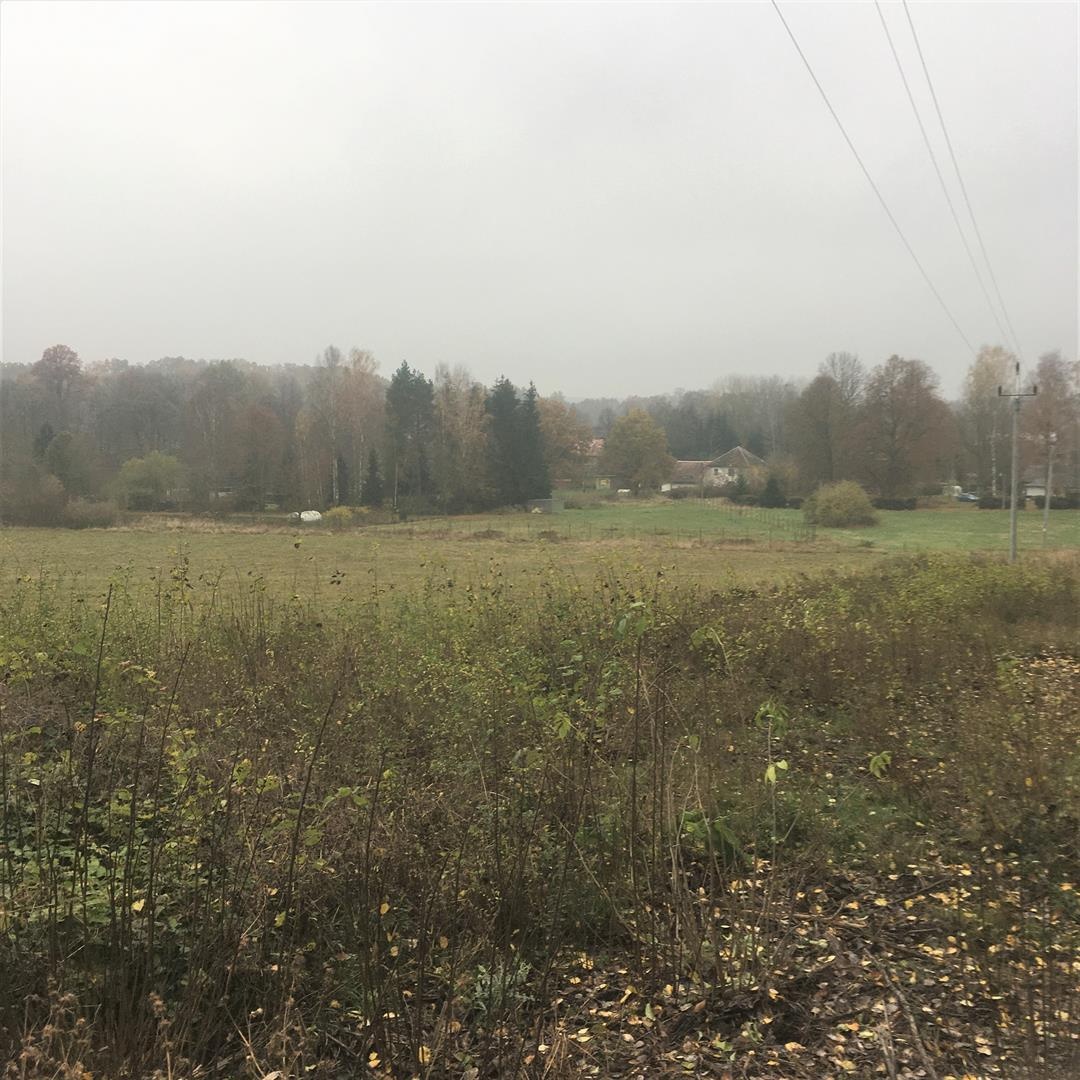 Prodej pozemku 5142m2 v Lindavě