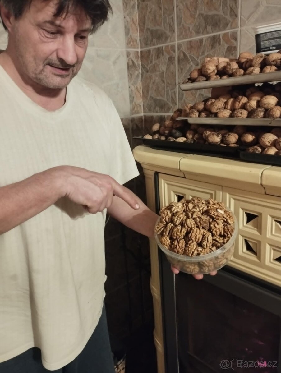 VLAŠSKÉ NOVÉ CELÉ VYLOUPANÉ OŘECHY