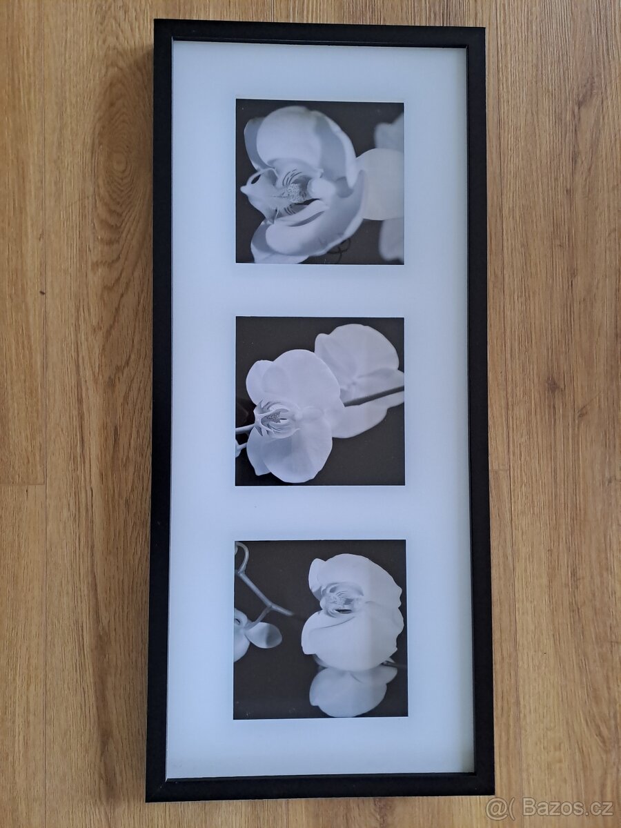 Obraz triptych orchidejí